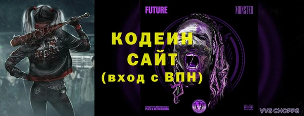 скорость Бородино