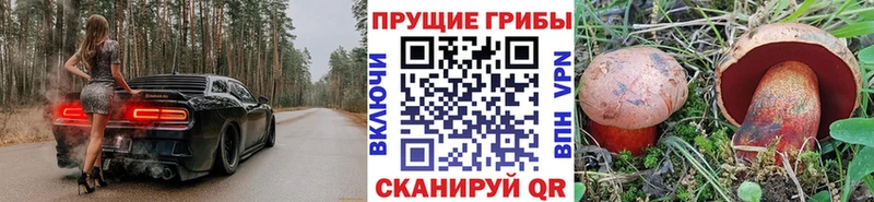 наркошоп  кракен как войти  Галлюциногенные грибы MAGIC MUSHROOMS  Нефтеюганск 